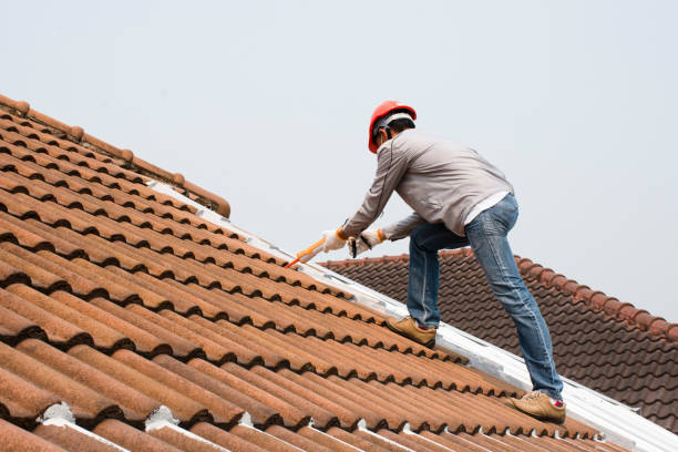 Best Tile Roofing Installation  in Harvey, IL