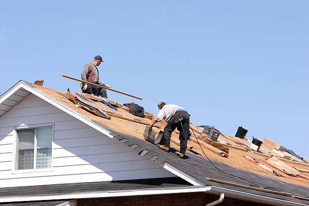 Best Hot Roofs  in Harvey, IL