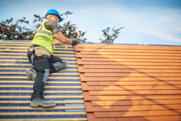 Best Roof Ventilation Installation  in Harvey, IL